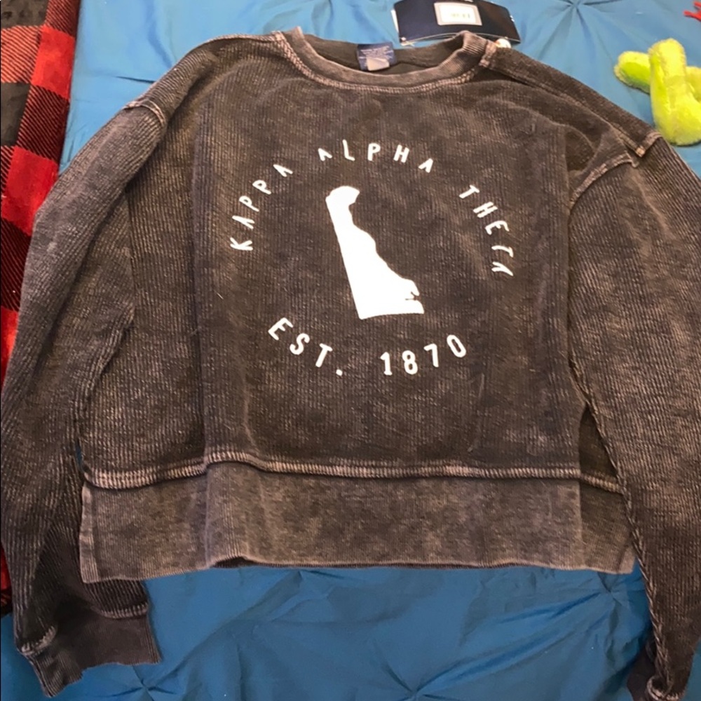 theta cropped hoodie